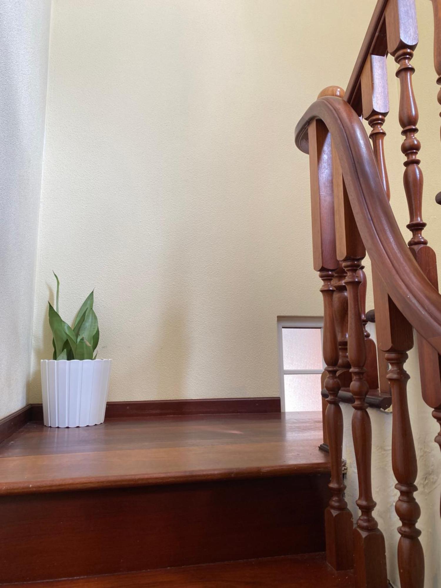 Appartamento Pana House Calheta  Esterno foto