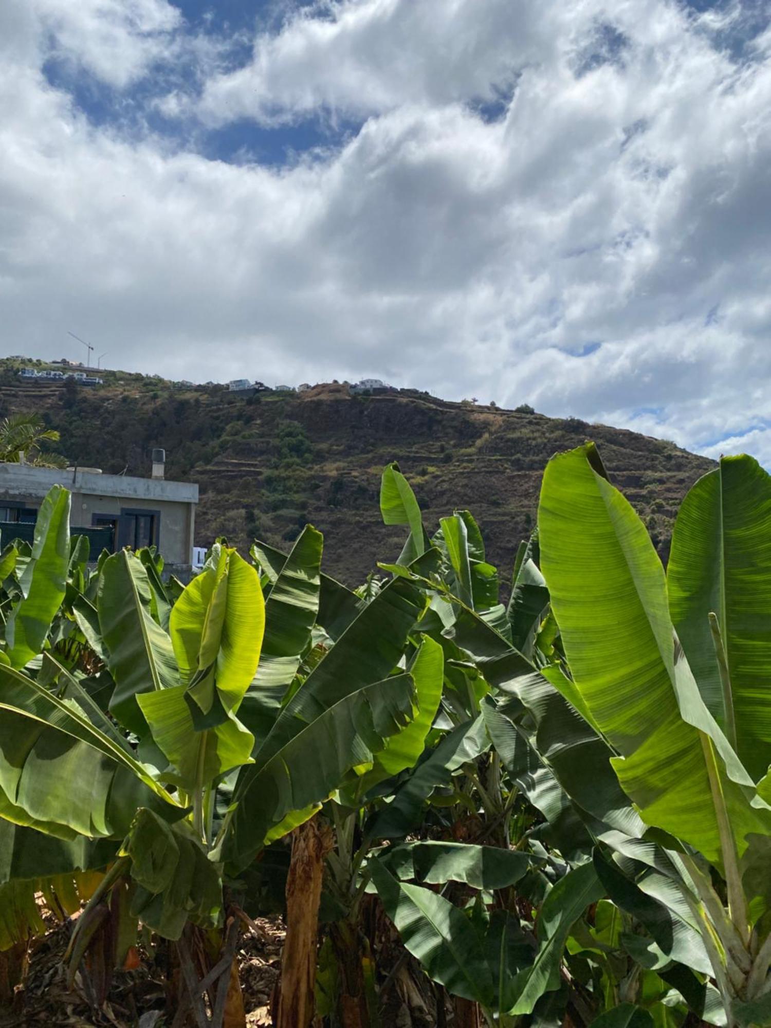 Appartamento Pana House Calheta  Esterno foto