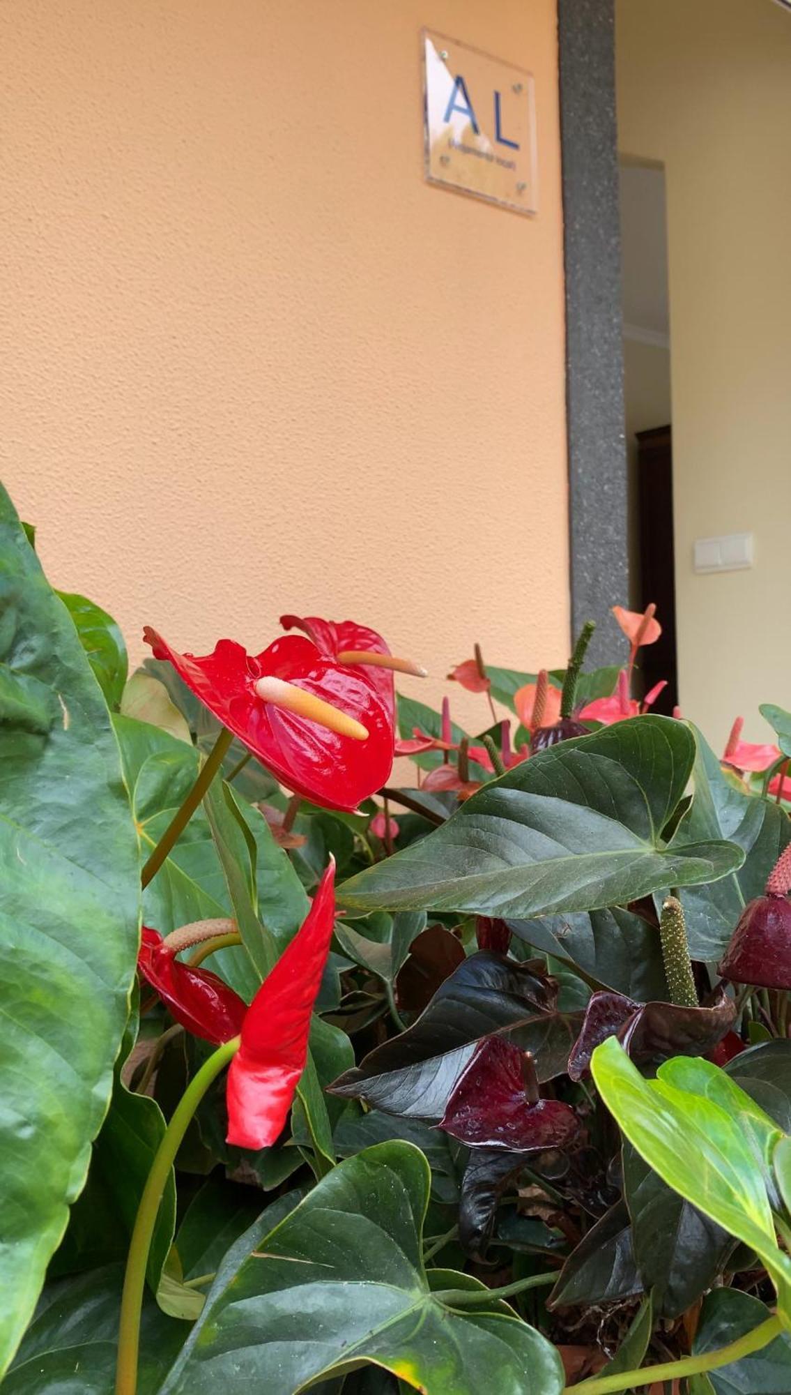 Appartamento Pana House Calheta  Esterno foto